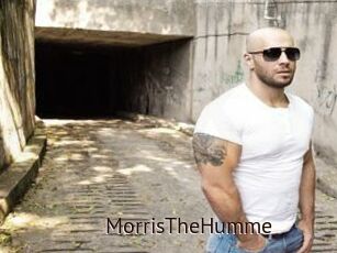 MorrisTheHumme