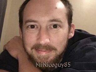 MrNiceguy85