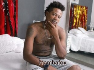 Mambafox
