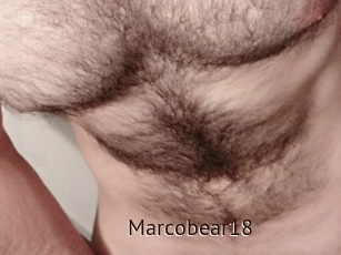 Marcobear18