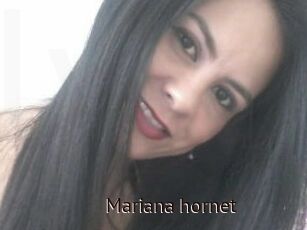 Mariana_hornet