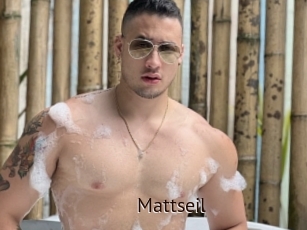 Mattseil