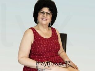 Mayflower77
