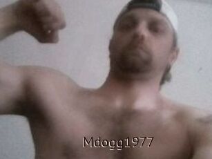 Mdogg1977
