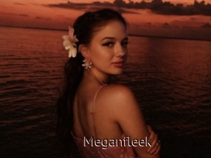 Meganfleek