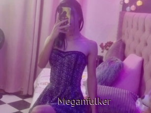 Meganfulker
