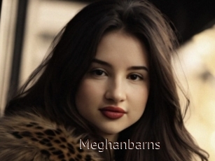 Meghanbarns