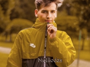 Meliiodas