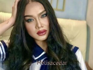 Melisacedar
