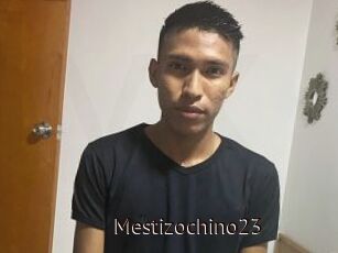 Mestizochino23