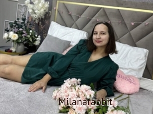 Milanarabbit