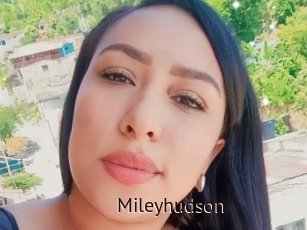 Mileyhudson