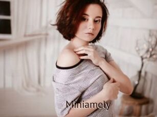 Miniamely