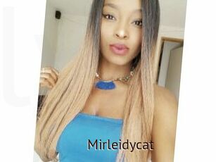Mirleidycat
