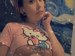Mollie_fox