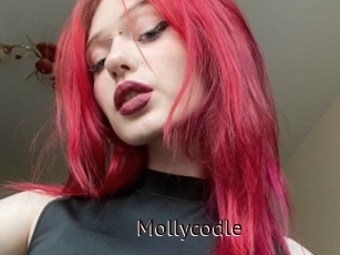 Mollycodle