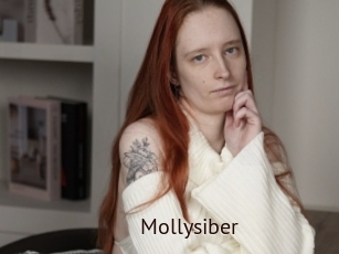 Mollysiber