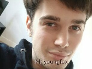 Mr_youngfox