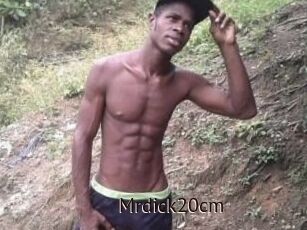 Mrdick20cm