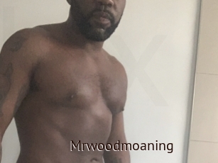 Mrwoodmoaning