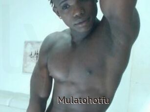Mulatohotfu