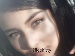 Nicekitty