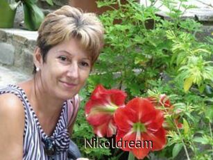 Nikoldream