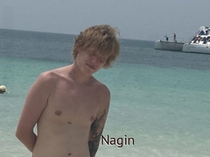 Nagin