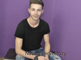 Nathanpervertgay
