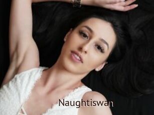 Naughtiswan