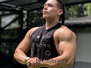 Niklasbraun