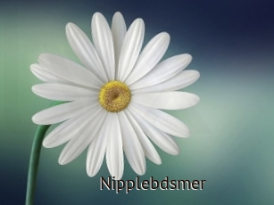 Nipplebdsmer