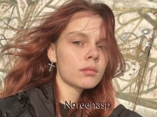 Noreenasp