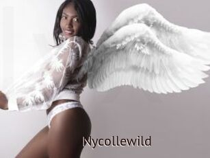 Nycollewild