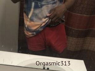 Orgasmic313