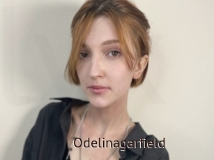 Odelinagarfield