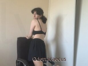 Odettacaecus