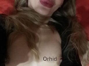 Orhid