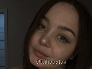 Ottiliegales
