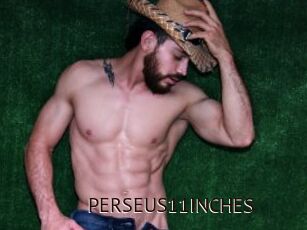 PERSEUS11INCHES