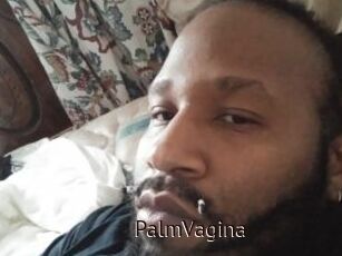 PalmVagina