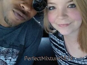 PerfectMixture3828