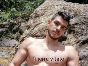 Pierre_vitale