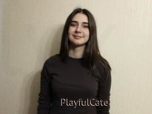 PlayfulCate