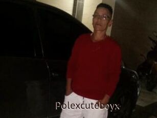Polexcuteboyx