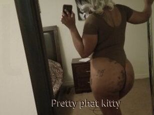 Pretty_phat_kitty