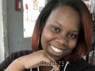 Pudd123