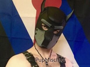 PupMischief