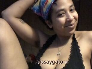 Pussaygalore