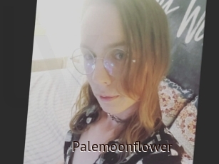Palemoonflower